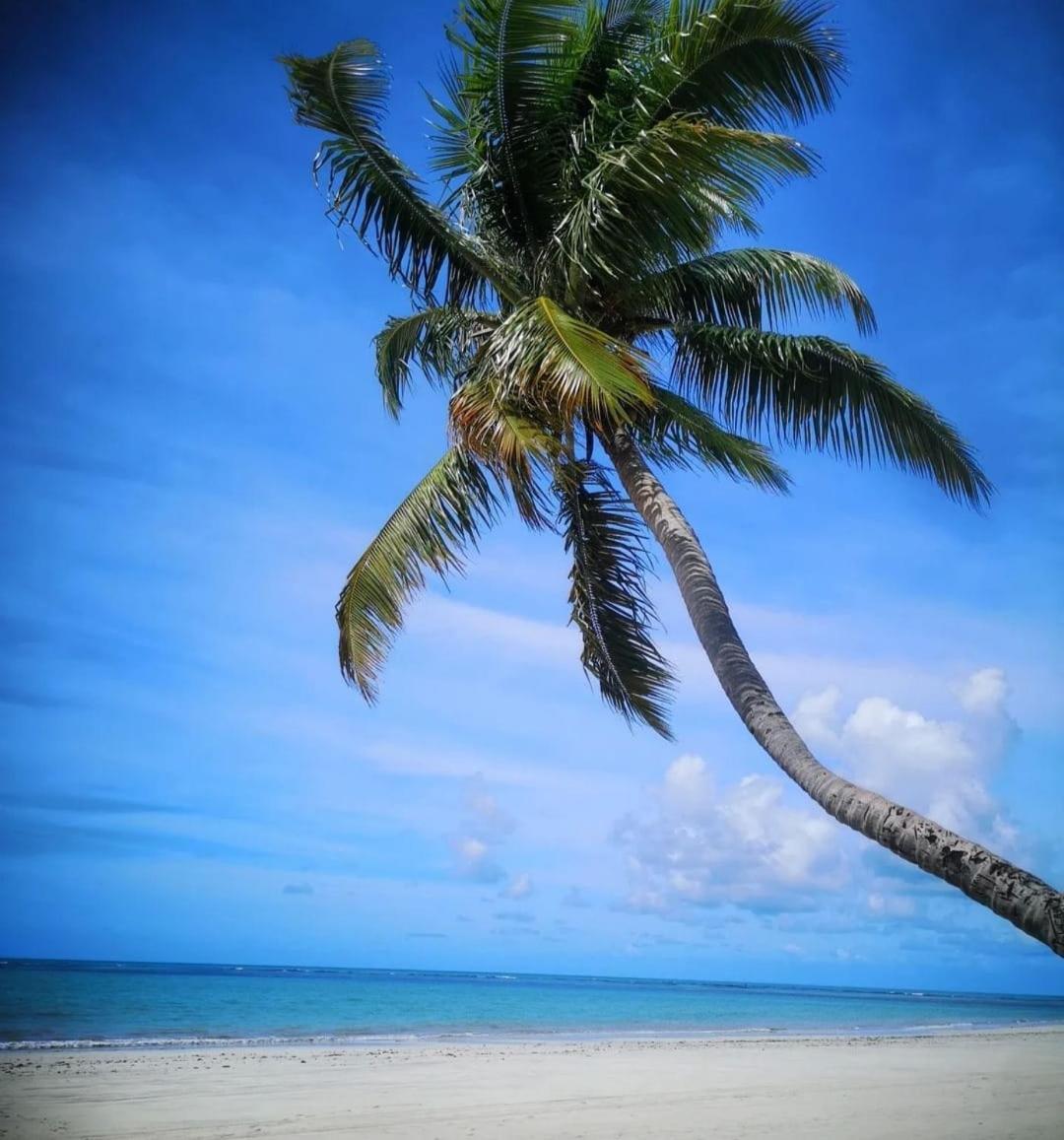 Praia Dos Carneiros Flat Encantador 외부 사진