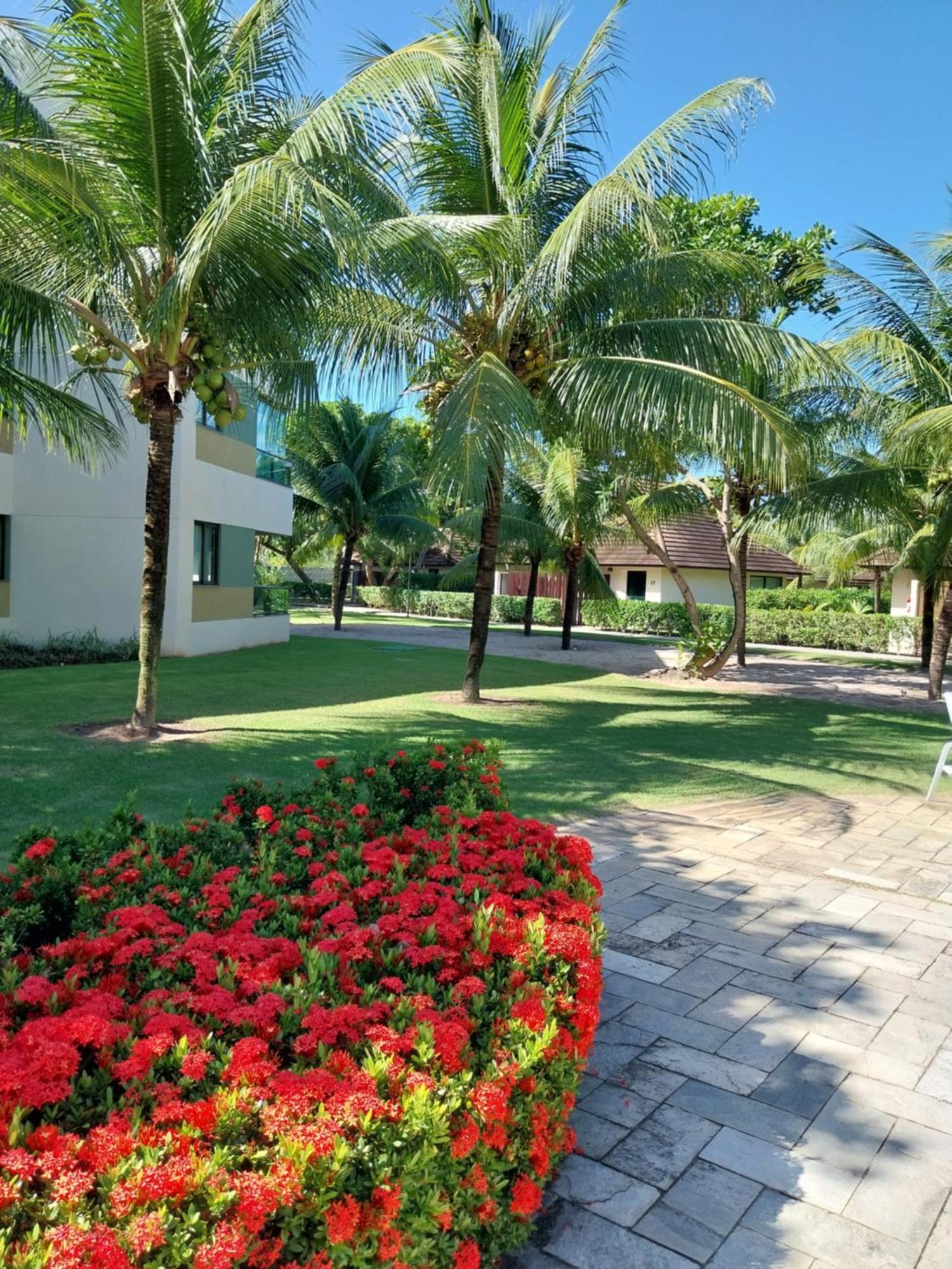 Praia Dos Carneiros Flat Encantador 외부 사진